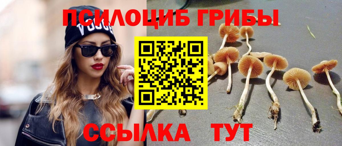 Галлюциногенные грибы Psilocybe  Галлюциногенные грибы мухоморы  Вход с VPN  Электрогорск 