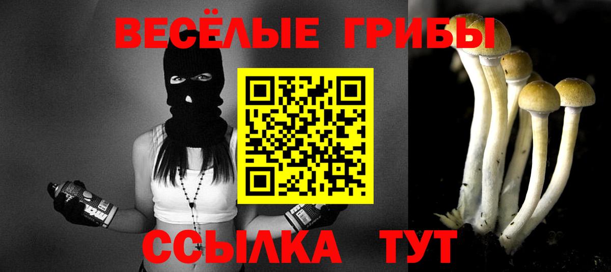 Псилоцибиновые грибы прущие грибы Электрогорск